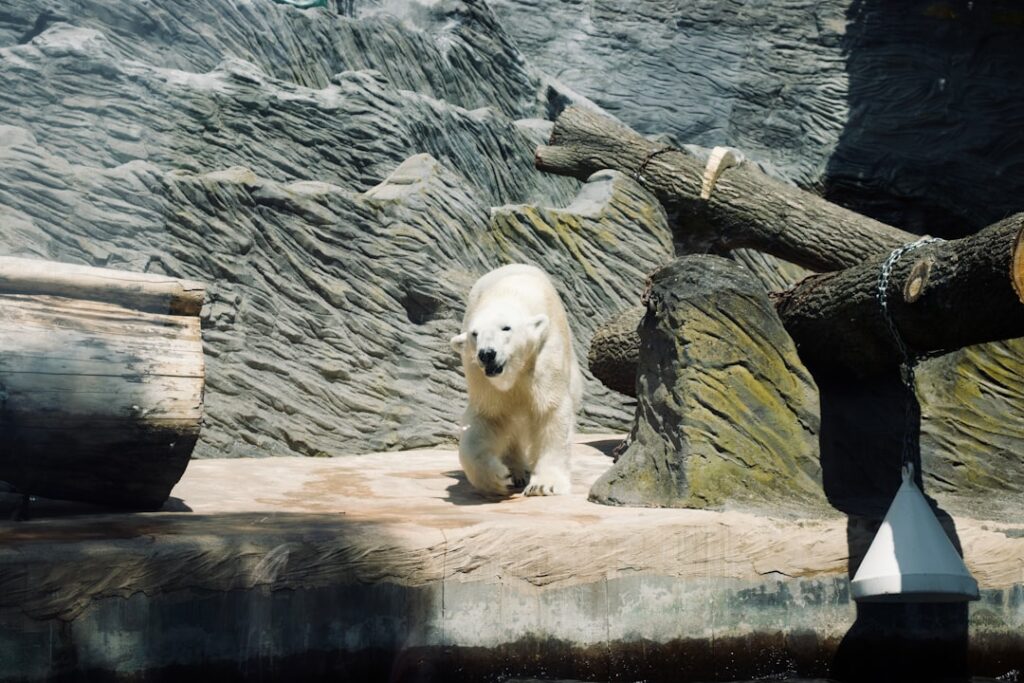Diergaarde Blijdorp: Ontdek de bijzondere wereld van Rotterdam Zoo