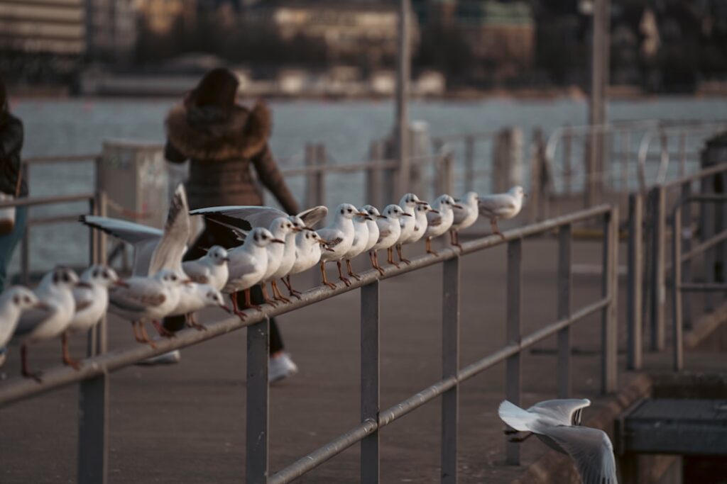Het succes en het vermogen van Youp van 't Hek