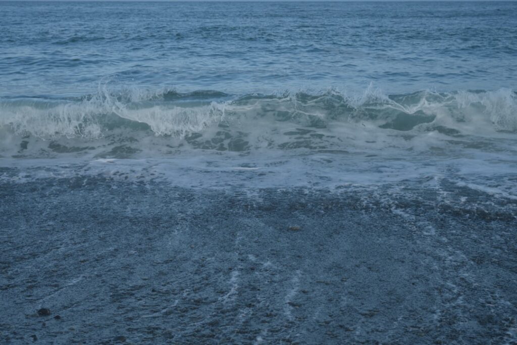 Het indrukwekkende vermogen van Demy de Zeeuw: meer dan alleen succes op het veld