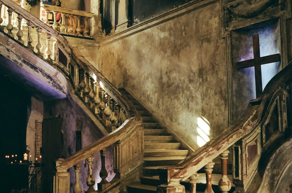 Nieuwe plannen rondom Rapunzel live action verrassen fans